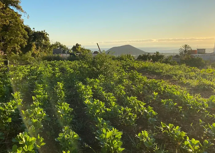 Lejlighed Casa Emblematica La Guazadera