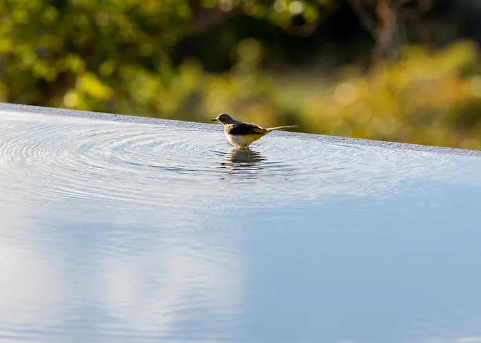 Lejlighed Casa Emblematica La Guazadera *