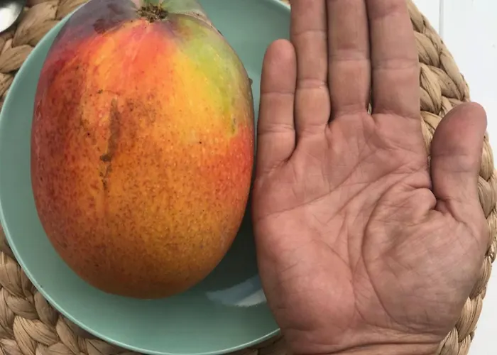 Casa Emblematica La Guazadera Güimar